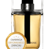 dior homme christian dior