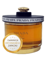 prada prada prada prada