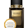 velvet black patchouli dolcegabanna