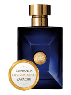 versace pour homme dylan blue versace