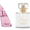 bruno banani woman marki bruno banani inspiracja nr 38 bruno banani woman marki bruno banani inspiracja nr 38