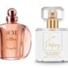 dune marki christian dior inspiracja nr 104 dune marki christian dior inspiracja nr 104