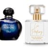 midnight poison marki christian dior inspiracja nr 66 midnight poison marki christian dior inspiracja nr 66
